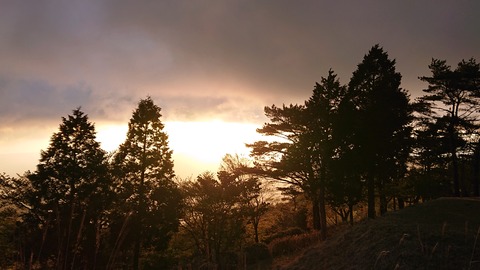 99-84(54-48)四季見原すこやかの森946