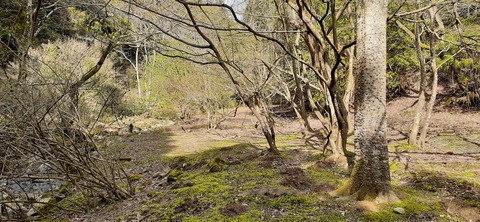 202-186(44-43)八木山渓流公園325_143929