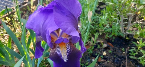 256-237(45-42)指宿レイクグリーン425_071357