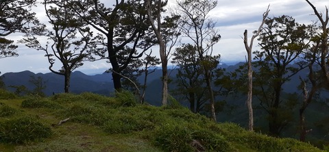 168-153(10-10)英彦山登山731_104709