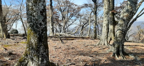 236-219(25-24)大崩山1104_113001