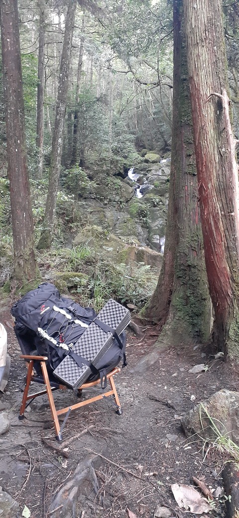 276-256(13-12)八木山渓流公園1005_161554