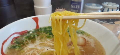 251-232(40-37)伽藍岳ゲリラキャン302_114315