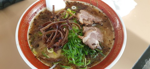 235-218(24-23)祝子川キャンプ場1103_122254