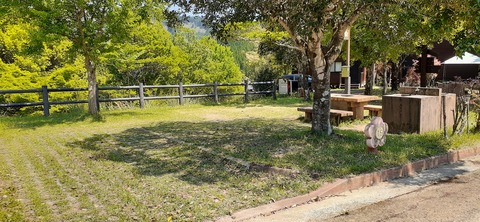 155-140(54-54)うめキャンプ村504_132453