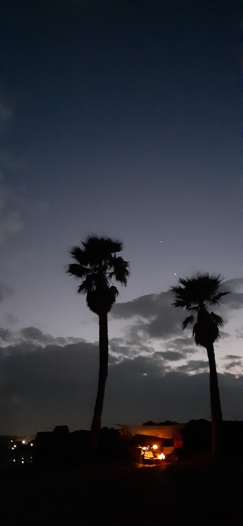 198-182(40-39)キワラビーチ225_184255