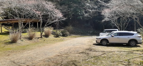 253-234(42-39)障子ヶ岳山頂キャンプ316_140007