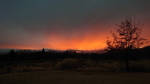 85-71(40-35)ゴンドーシャロレー703