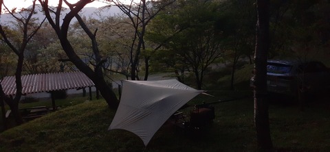 255-236(44-41)味見桜公園413_185721R