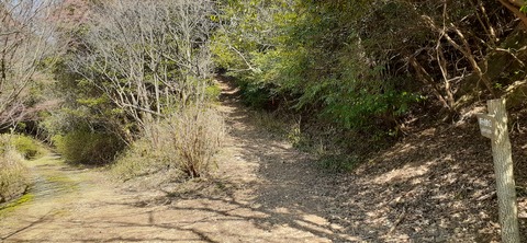 253-234(42-39)障子ヶ岳山頂キャンプ316_140349