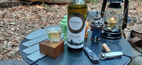 144-129(43-43)スゼンジハウスオープンエア26_131349