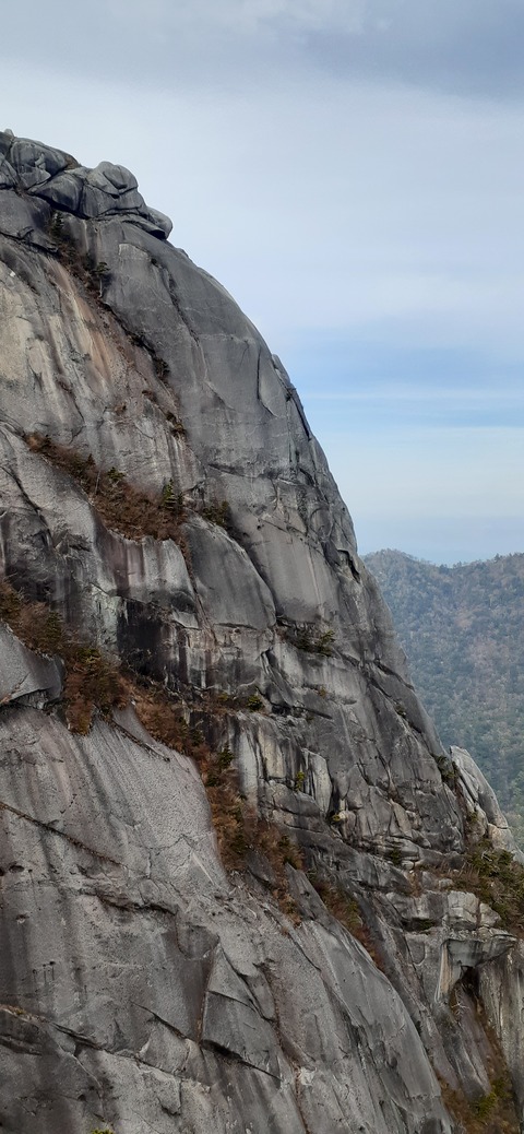 236-219(25-24)大崩山1104_141741