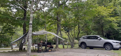 216-200(5-5)山鳥の森623_143159