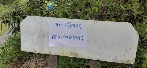 167-152(9-9)久住星群れキャンプ場723_153516