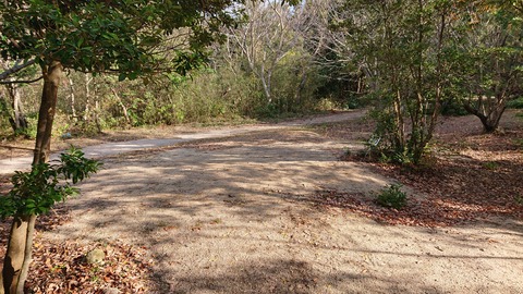 74-61(29-25)千防川砂防公園キャンプ場711