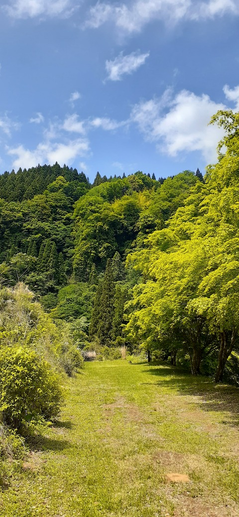 158-143(57-57)陽目の里キャンピングパーク507_123431