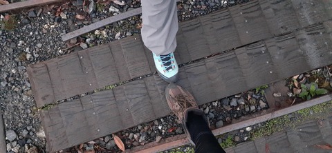 259-240(48-45)宮之浦岳新高塚小屋430_054336