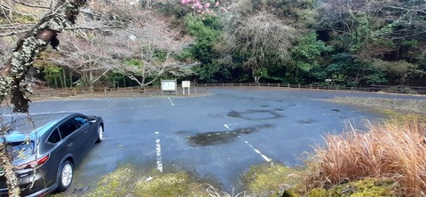147-132(46-46)桂木山麓白糸の滝20_081146