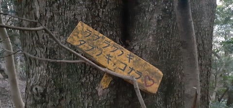 251-232(40-37)大坂山障子ヶ岳218_065738