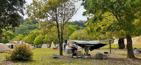 155-140(54-54)うめキャンプ村504_150106