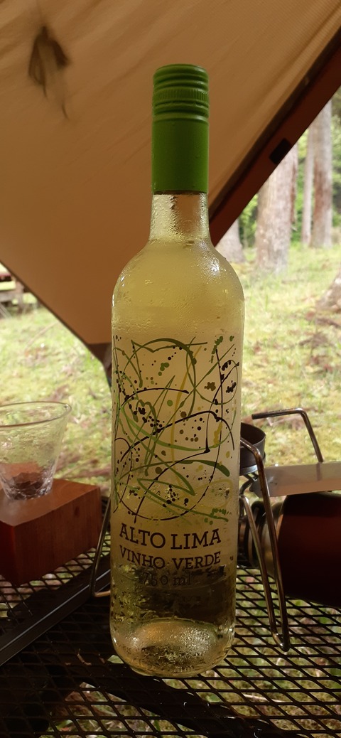 211-195(53-52)猿ヶ城キャンプ場505_170704