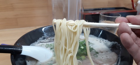 151-136(50-50)423豚骨れんれん_123333