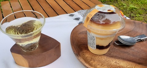 152-137(51-51)阿蘇夢蛍キャンプ場429_151336