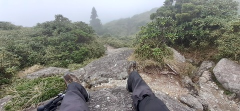 260-241(49-46)宮之浦岳淀川小屋501_143244