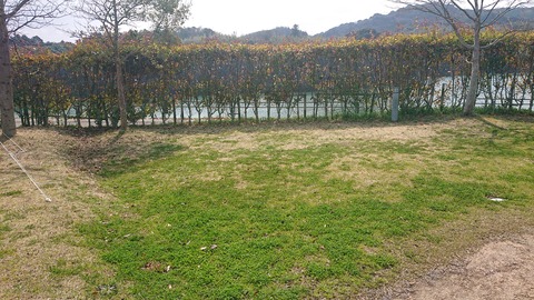 90-76(45-40)アクトビレッジおの50