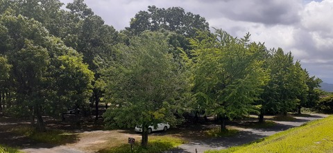 163-148(5-5)津志田河川自然公園6_104546