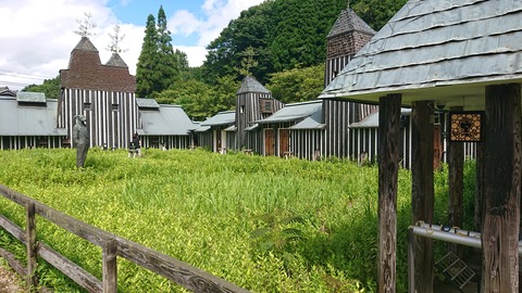 55-44(10-8)カワセミ公園975S