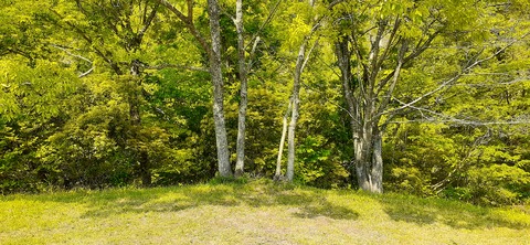 159-144(1-1)遊牧民522_095445