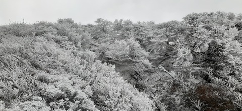 251-232(40-37)法華院温泉山荘2泊目224_101505