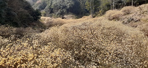 254-235(43-40)長崎鼻リゾート②330_114218