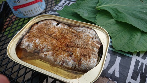 Dキャンプ 菊川自然活用村25