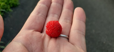 257-238(46-43)開聞岳428_062630