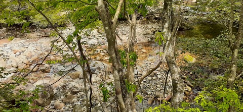 156-141(55-55)鹿川キャンプ場505_130710