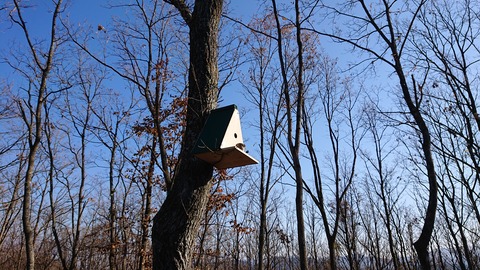 126-111(25-25)CAMP✕WOODS367