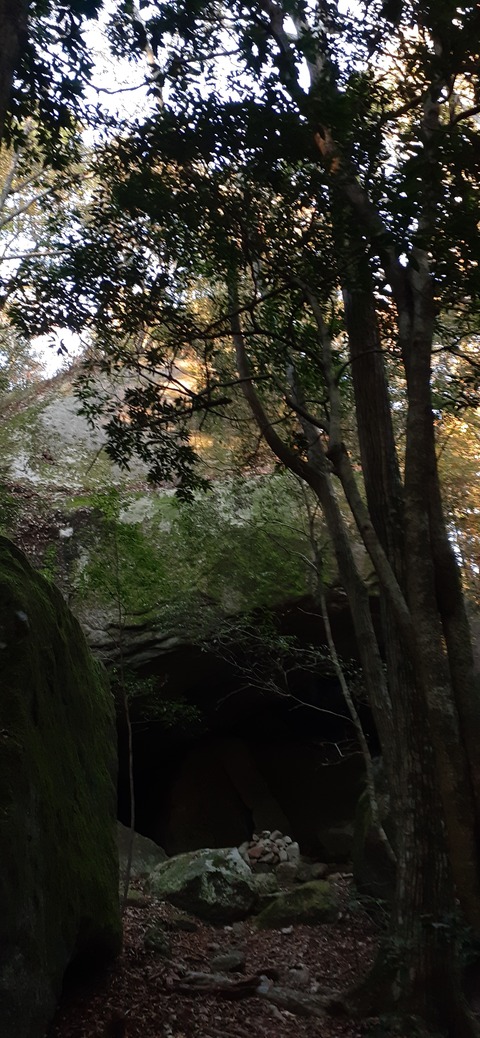 236-219(25-24)大崩山1104_070346