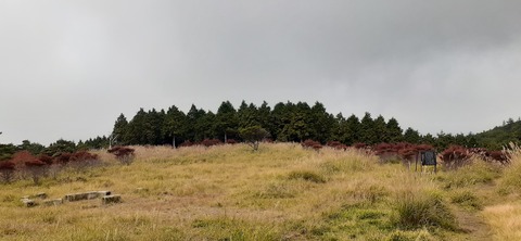 233-216(22-21)9.BASE1014_103140