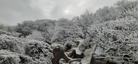 251-232(40-37)法華院温泉山荘2泊目224_100655