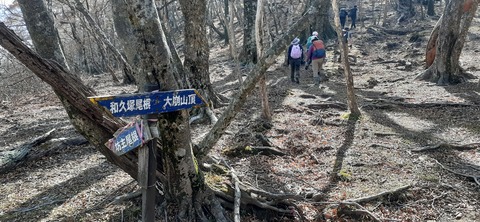 236-219(25-24)大崩山1104_111412