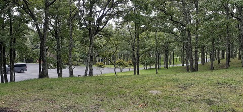 172-157(14-14)くじゅう自然動物園903_144945