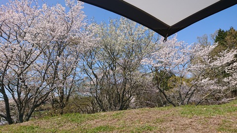 42-34家族旅行村安心院80S