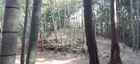 193-177(35-34)峰やしき205_111433