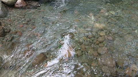 61-50(16-14)郭公の郷キャンプ場665S