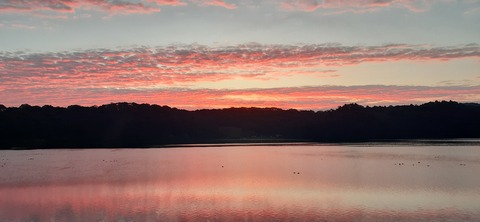 241-224(30-29)奥霧島御池キャンプ場②1126_064441