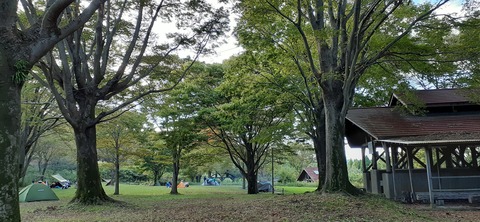 176-161(18-18)坊中野営場1008_164630