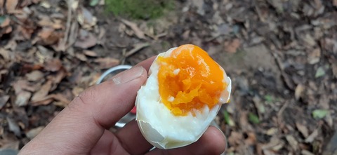 251-232(40-37)伽藍岳ゲリラキャン303_111016