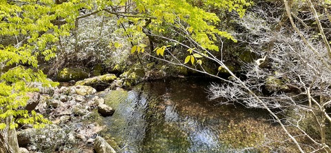 153-138(52-52)マゼノ 甲の瀬キャンプ村430_114117